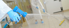 Disinfettanti e sanificanti Disinfettanti e sanificanti